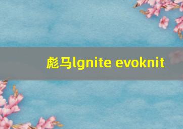 彪马lgnite evoknit